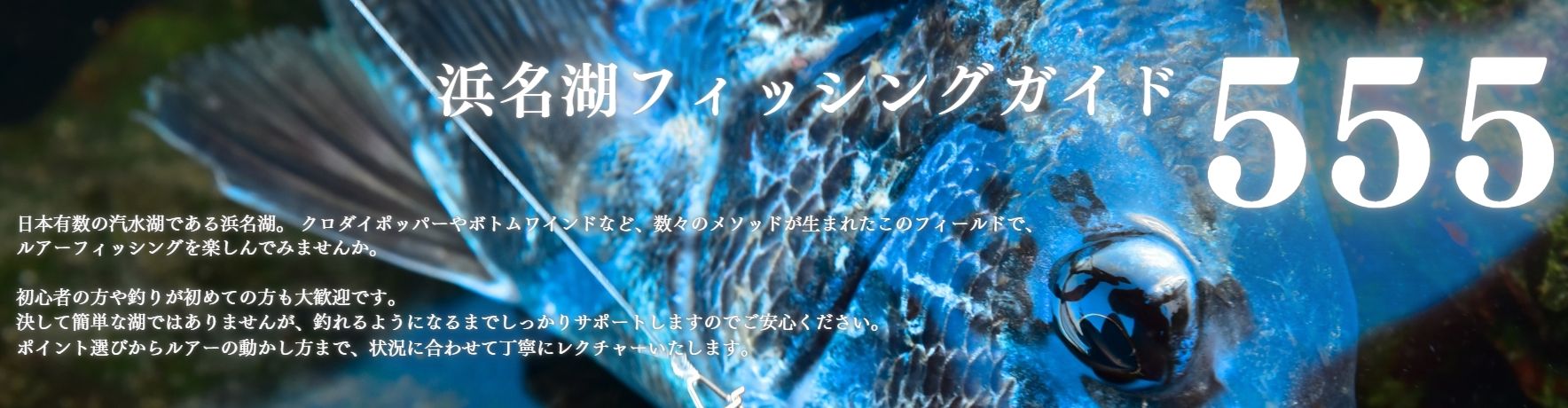 フィッシングガイド 555